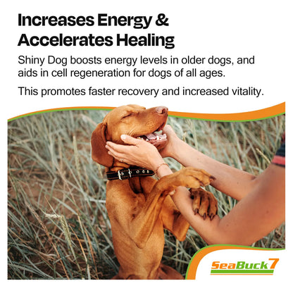 Aceite De Espino Cerval De Mar Para Perros 60 Ml Para Pelaje Brillante Y Salud Integral