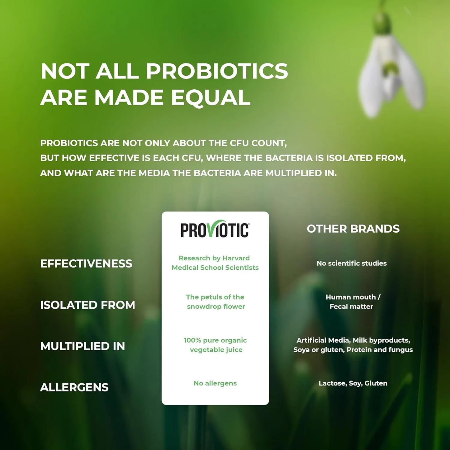 Lactobacillus Probiótico Vegano Salud Digestiva E Inmunidad 30 Cápsulas