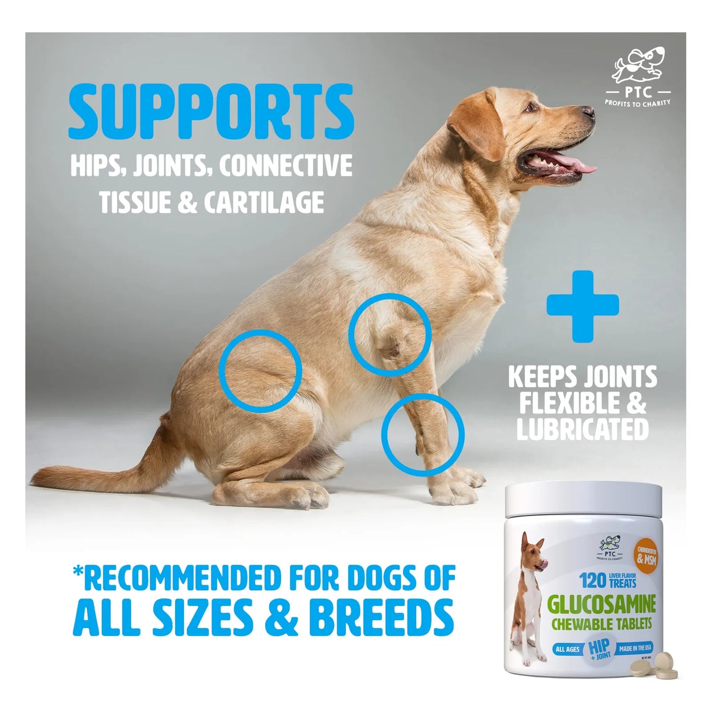 Golosinas Masticables De Glucosamina Para Perros Con Condroitina Y MSM - 120 Unidades