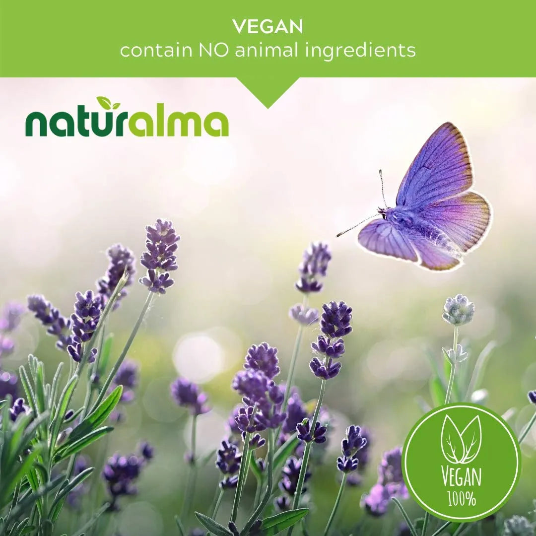 Extracto Liquido De Gotu Kola Centella Asiatica 200ml Suplemento Herbal Vegano