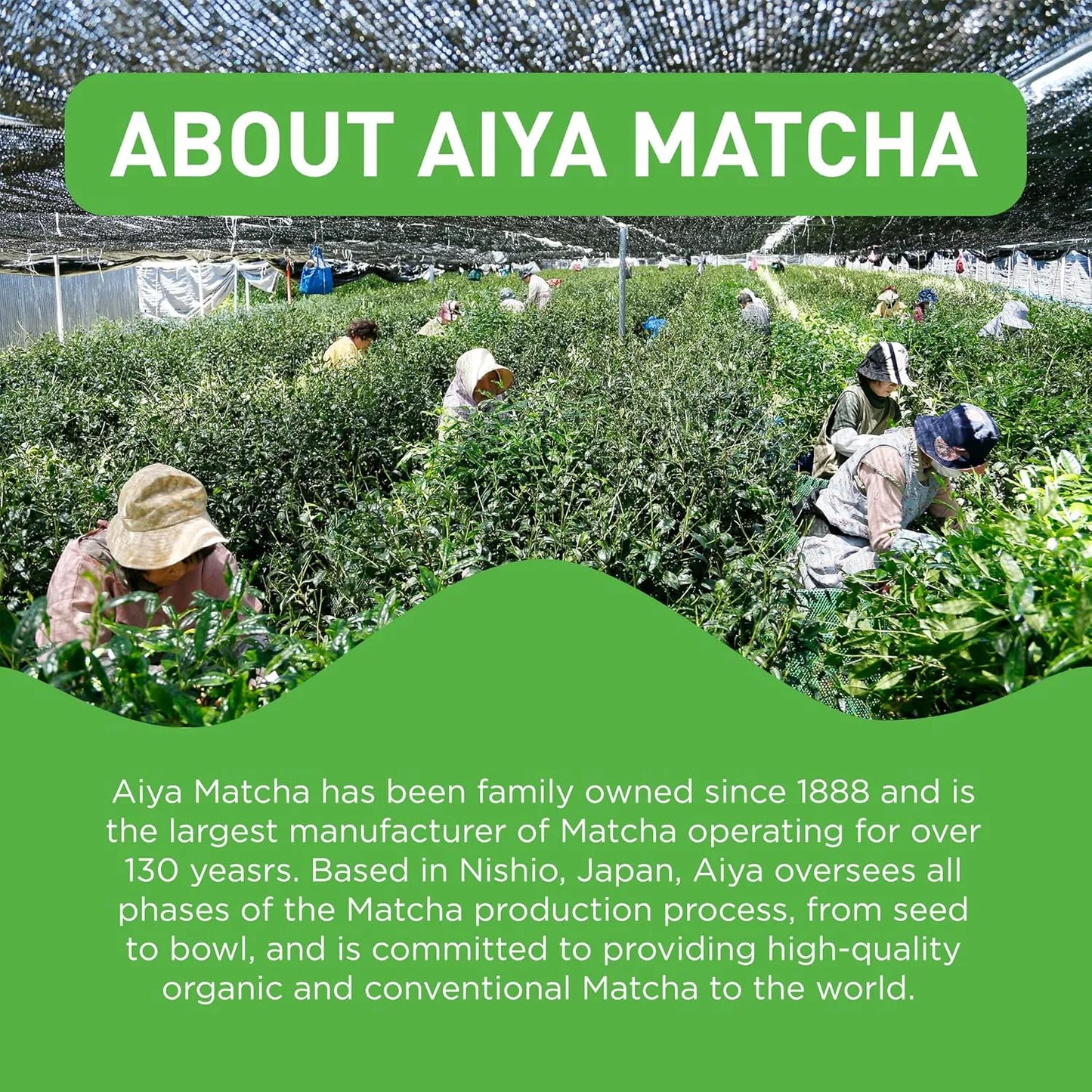 Polvo De Té Verde Matcha Japonés Grado Ceremonial 100g Aiya Energía Natural