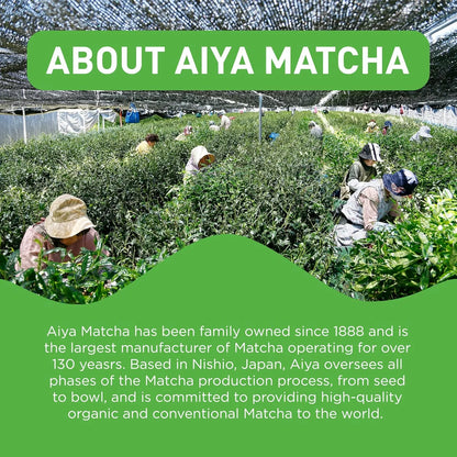 Polvo De Té Verde Matcha Japonés Grado Ceremonial 100g Aiya Energía Natural