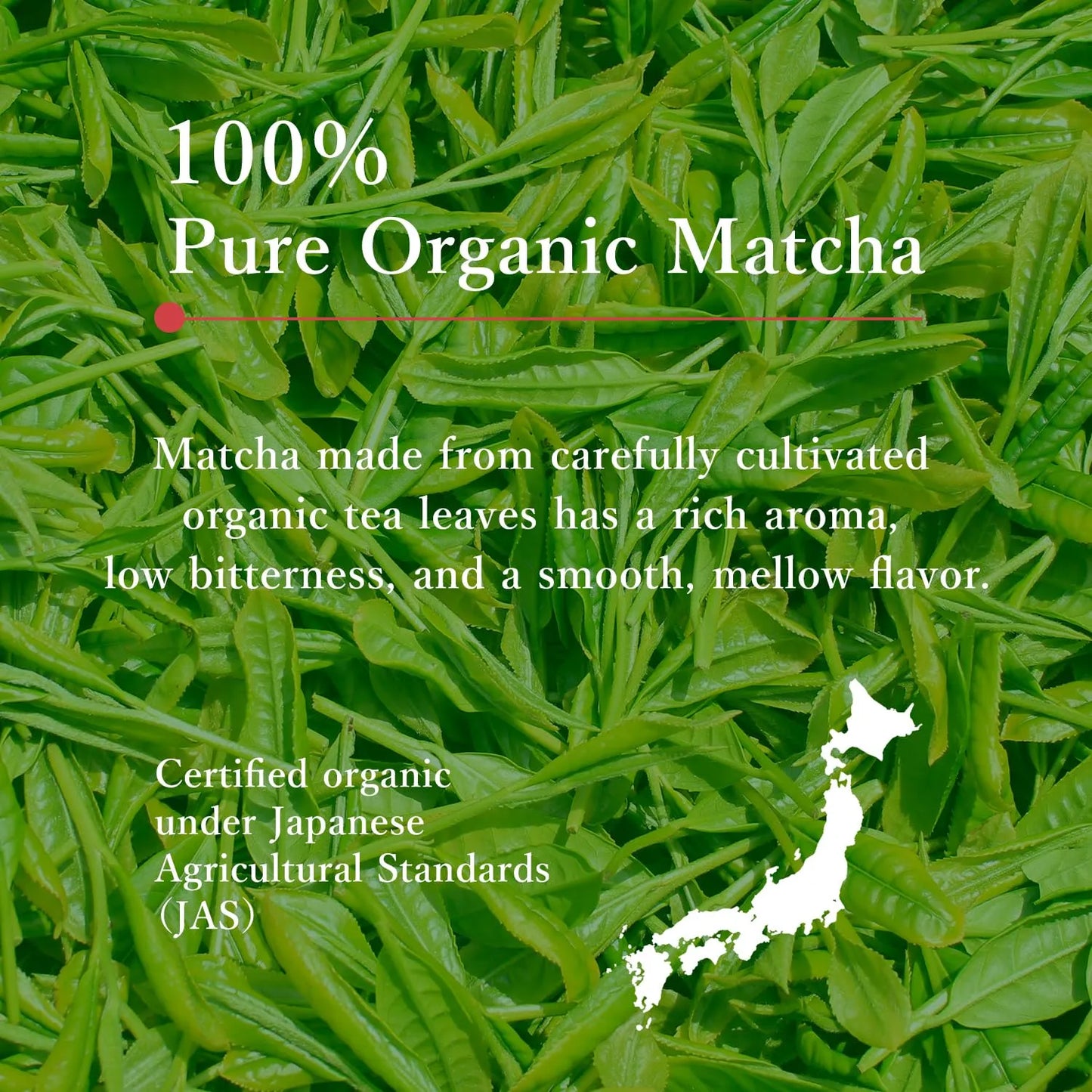 Matcha Orgánico Grado Ceremonial MIKAN-YAMA 40g Auténtico De Japón