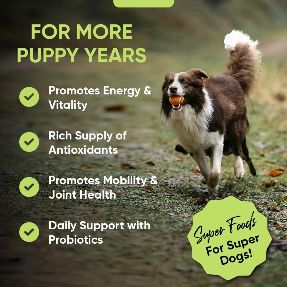 Polvo De Verduras Para Perros Con Brotes De Brócoli Espirulina Suplemento Nutritivo