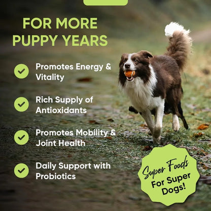 Polvo De Verduras Para Perros Con Brotes De Brócoli Espirulina Suplemento Nutritivo