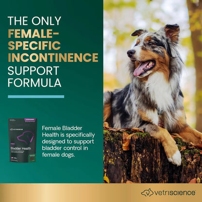 Masticables Para Perros VetriScience Apoyo Vejiga Antioxidant Control Incontinencia