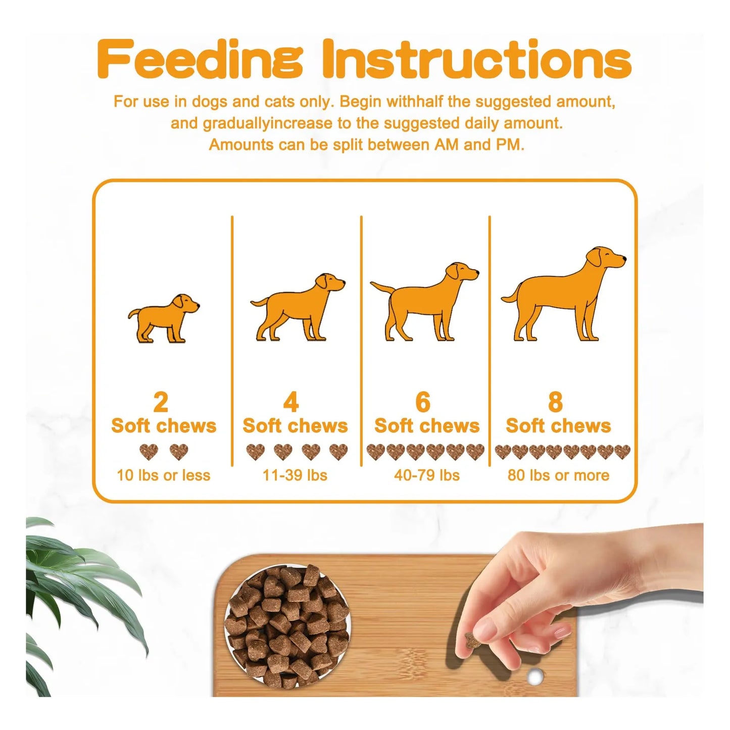 Probióticos Para Perros Con Prebióticos Enzimas Digestivas Y Calabaza Salud Intestinal Y Pelaje Brillante