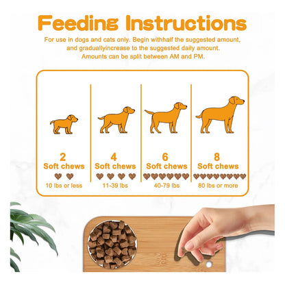 Probióticos Para Perros Con Prebióticos Enzimas Digestivas Y Calabaza Salud Intestinal Y Pelaje Brillante