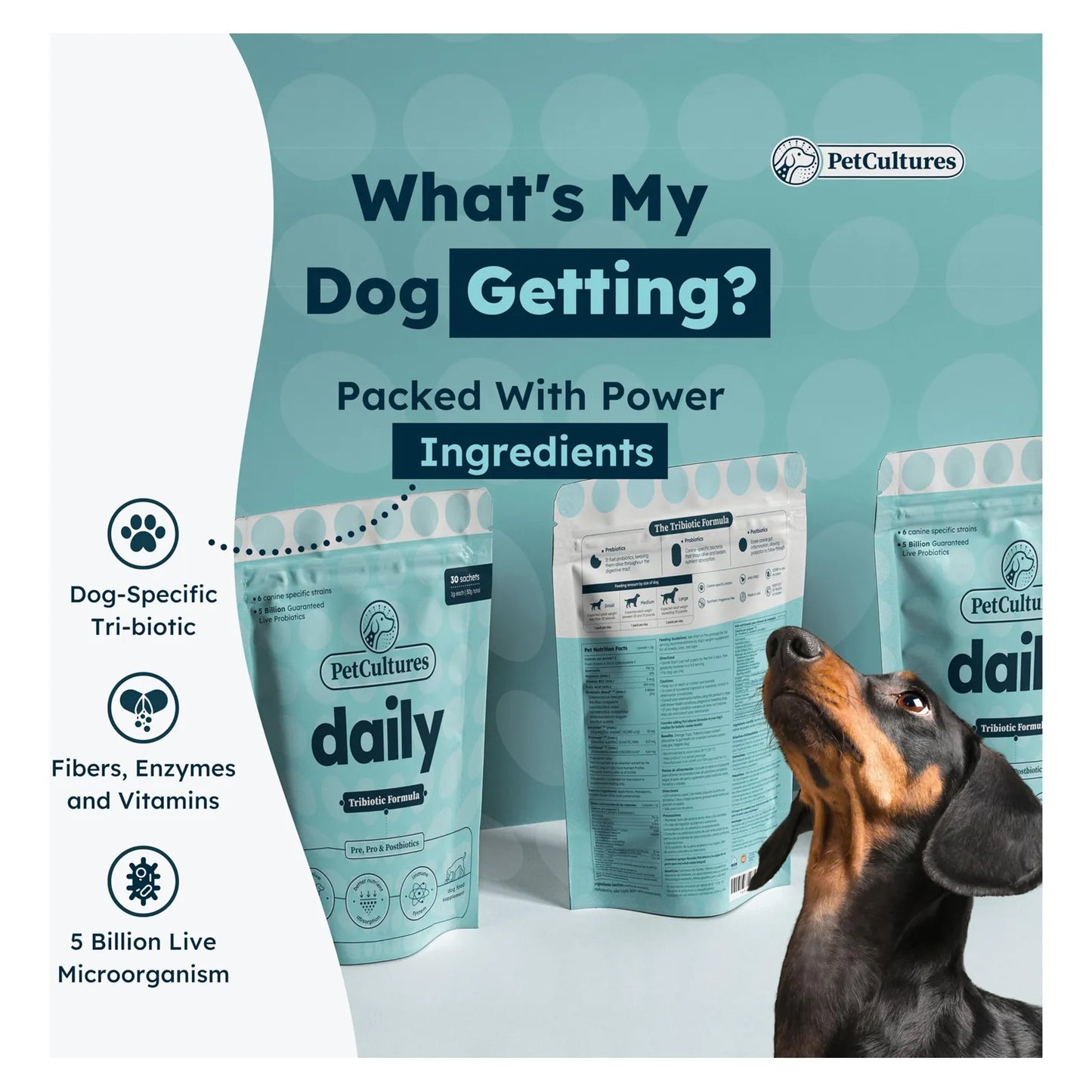 Probióticos En Polvo Para Perros Salud Intestinal Prebióticos Y Enzimas Digestivas 30 Paquetes