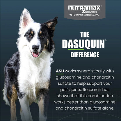 Dasuquin Para Perros Pequeños y Medianos 84 Tabletas Salud Articular