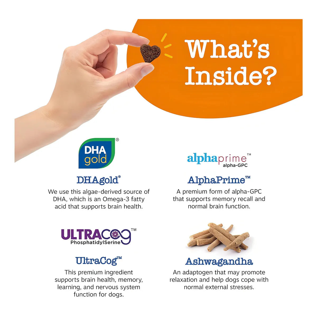 Masticables Suaves Omega 3 Dha Ashwagandha Soporte Cerebral Memoria Y Enfoque