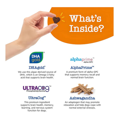 Masticables Suaves Omega 3 Dha Ashwagandha Soporte Cerebral Memoria Y Enfoque
