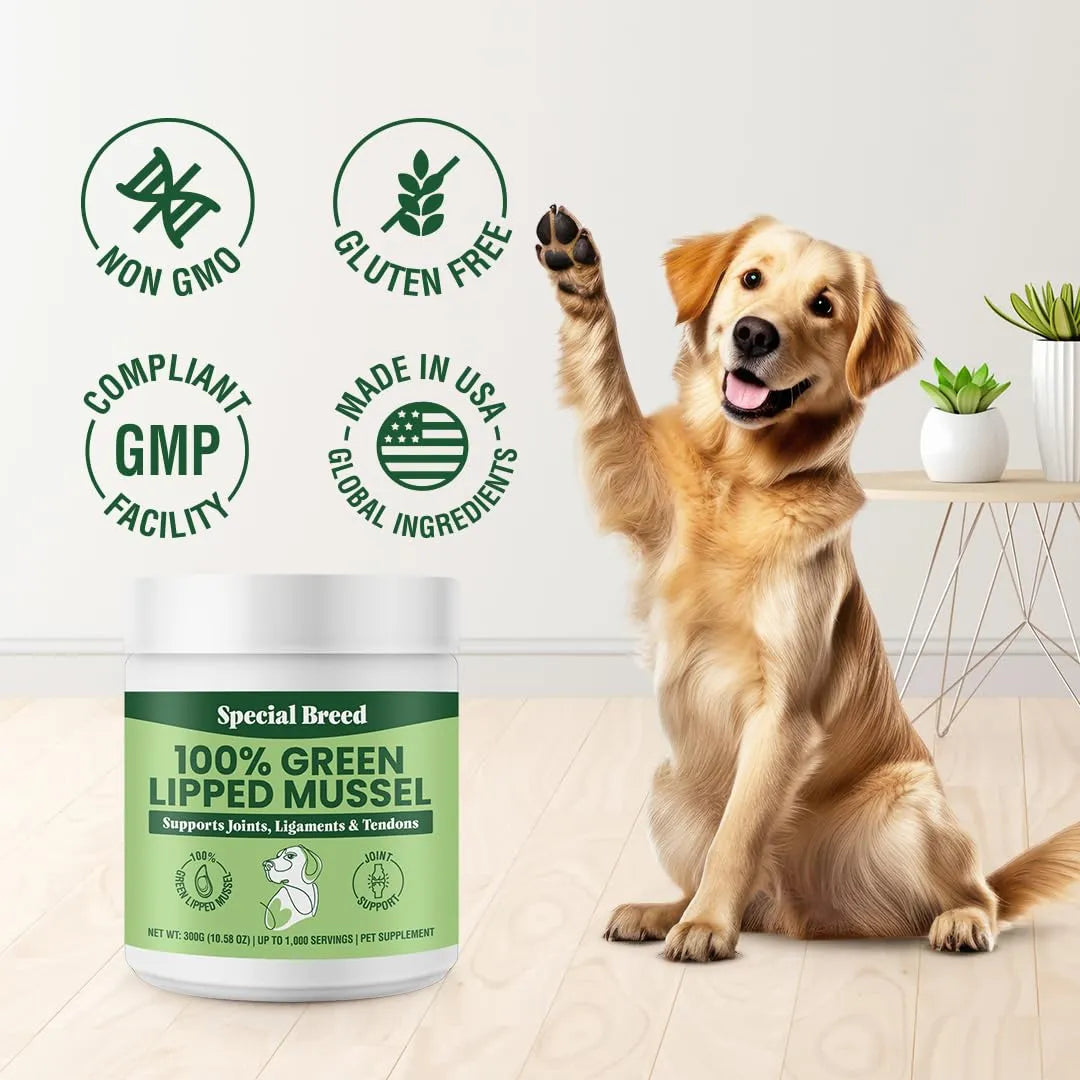 Polvo De Mejillones Labios Verdes Para Articulaciones De Perros Y Gatos 300g Importado