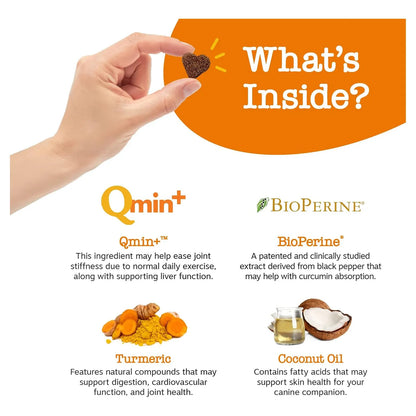 Curcumina De Cúrcuma Para Perros 95 Curcuminoides Salud Articular Y Digestiva