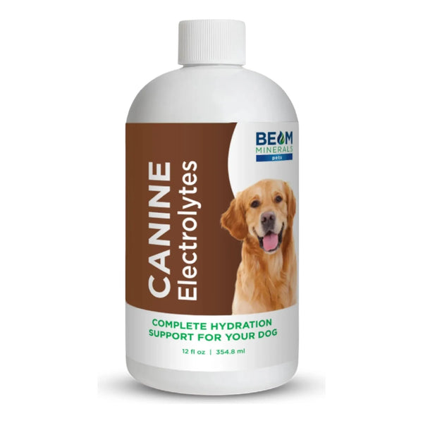 Electrolitos Líquidos Completos Para Perros Beam Minerals 355ml